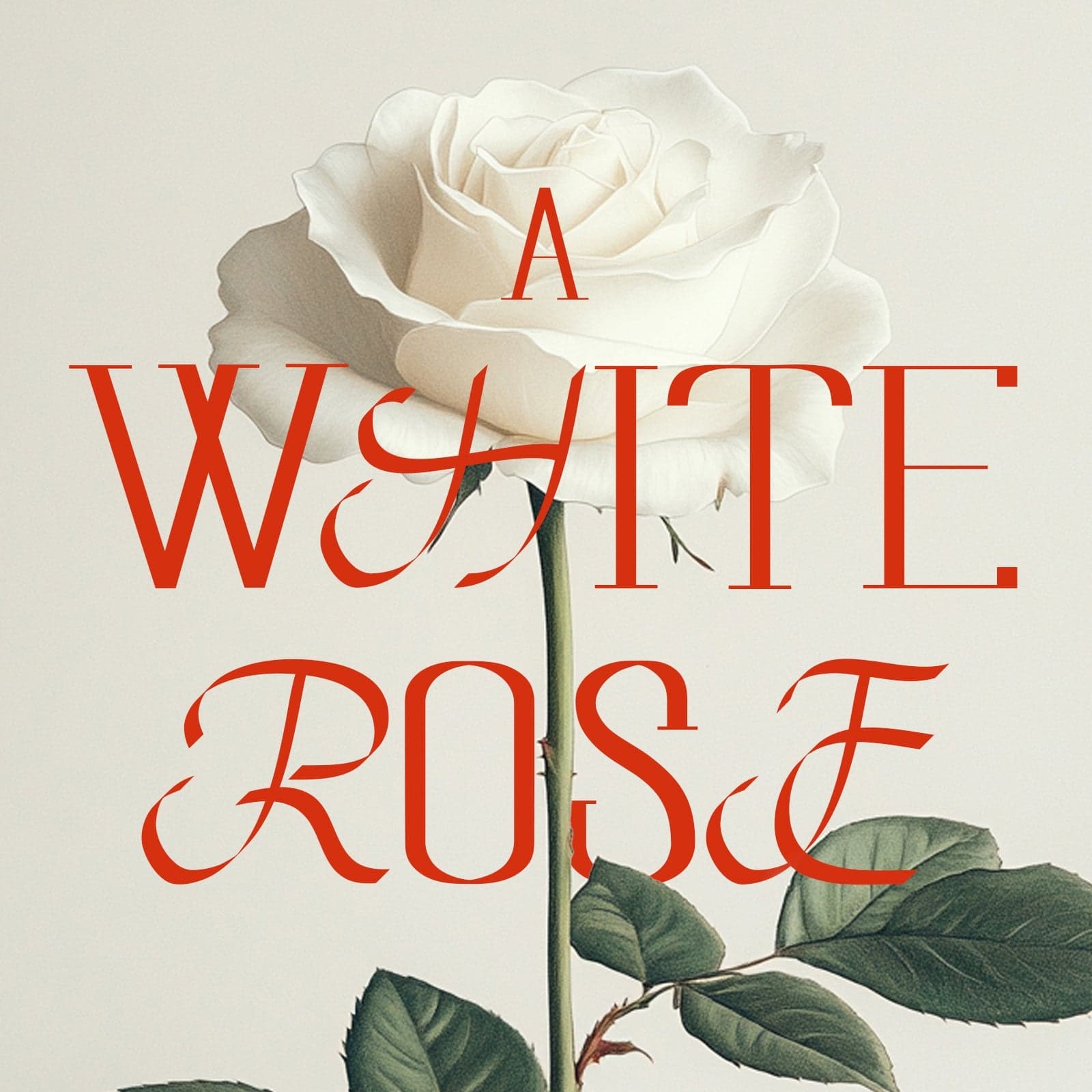 Senada Display Font cover