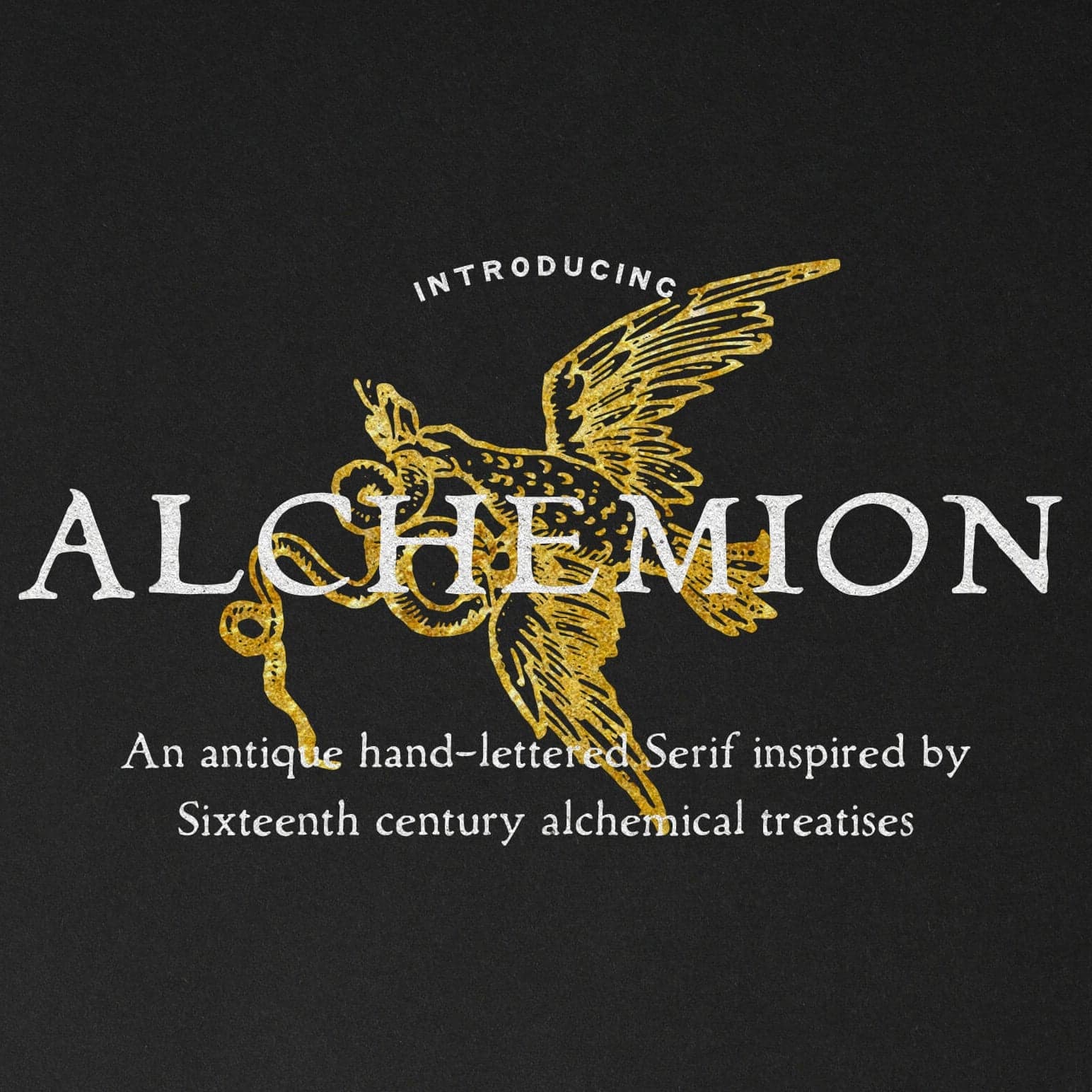 Alchemion Display Serif Font cover