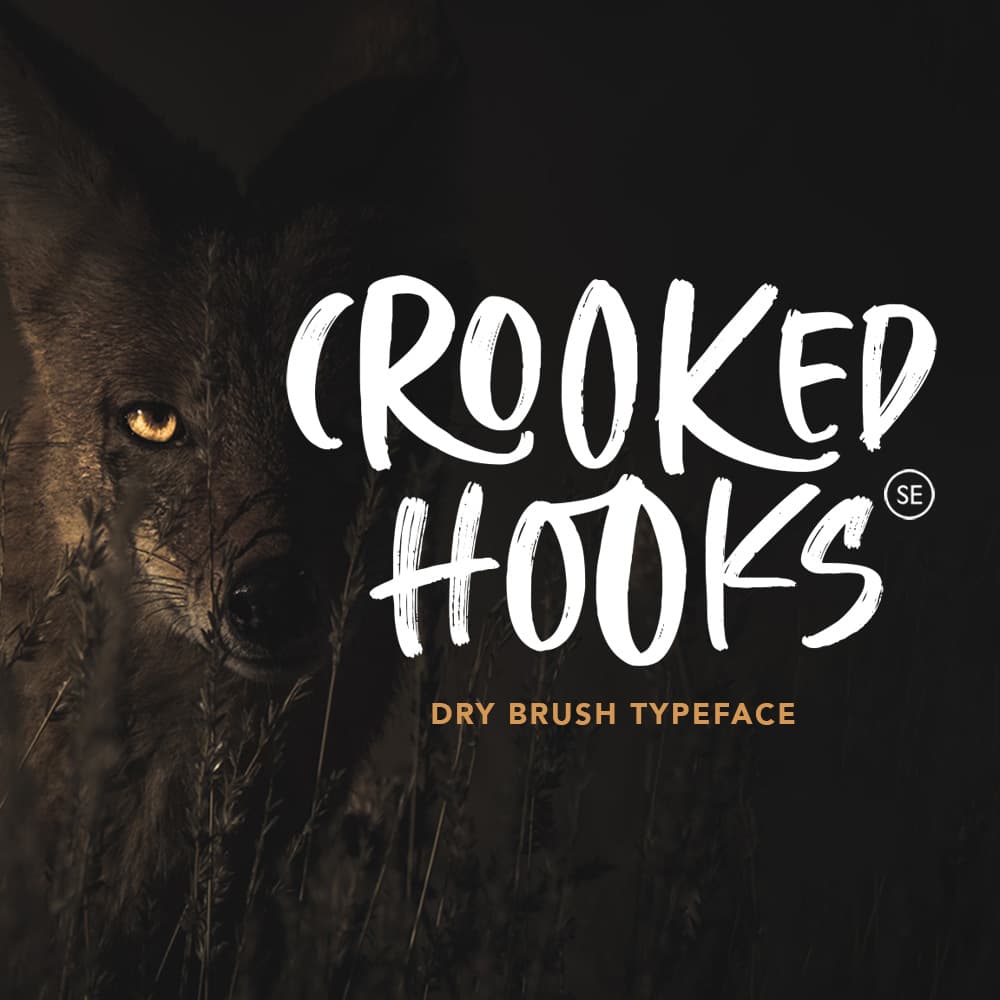 Crooked Hooks - Dry Brush Font cover