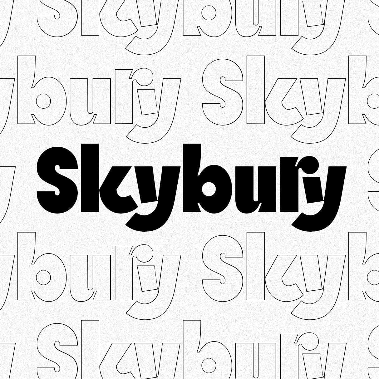 SLTF Skybury - Bold Sans Serif Typeface cover