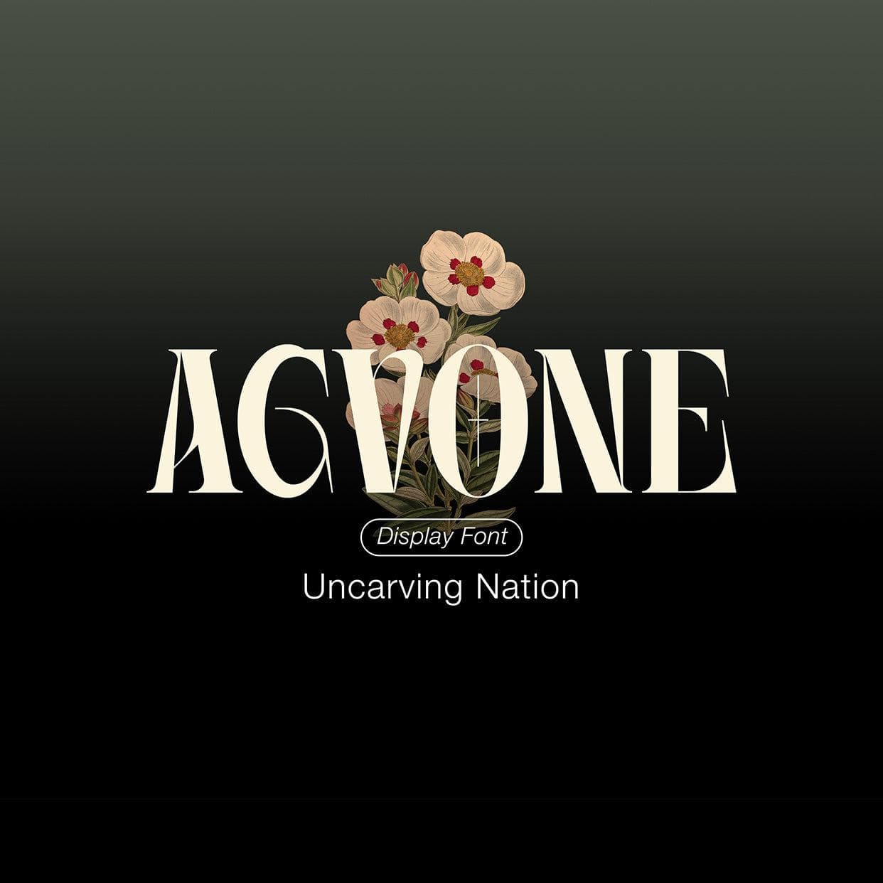 Agvone cover