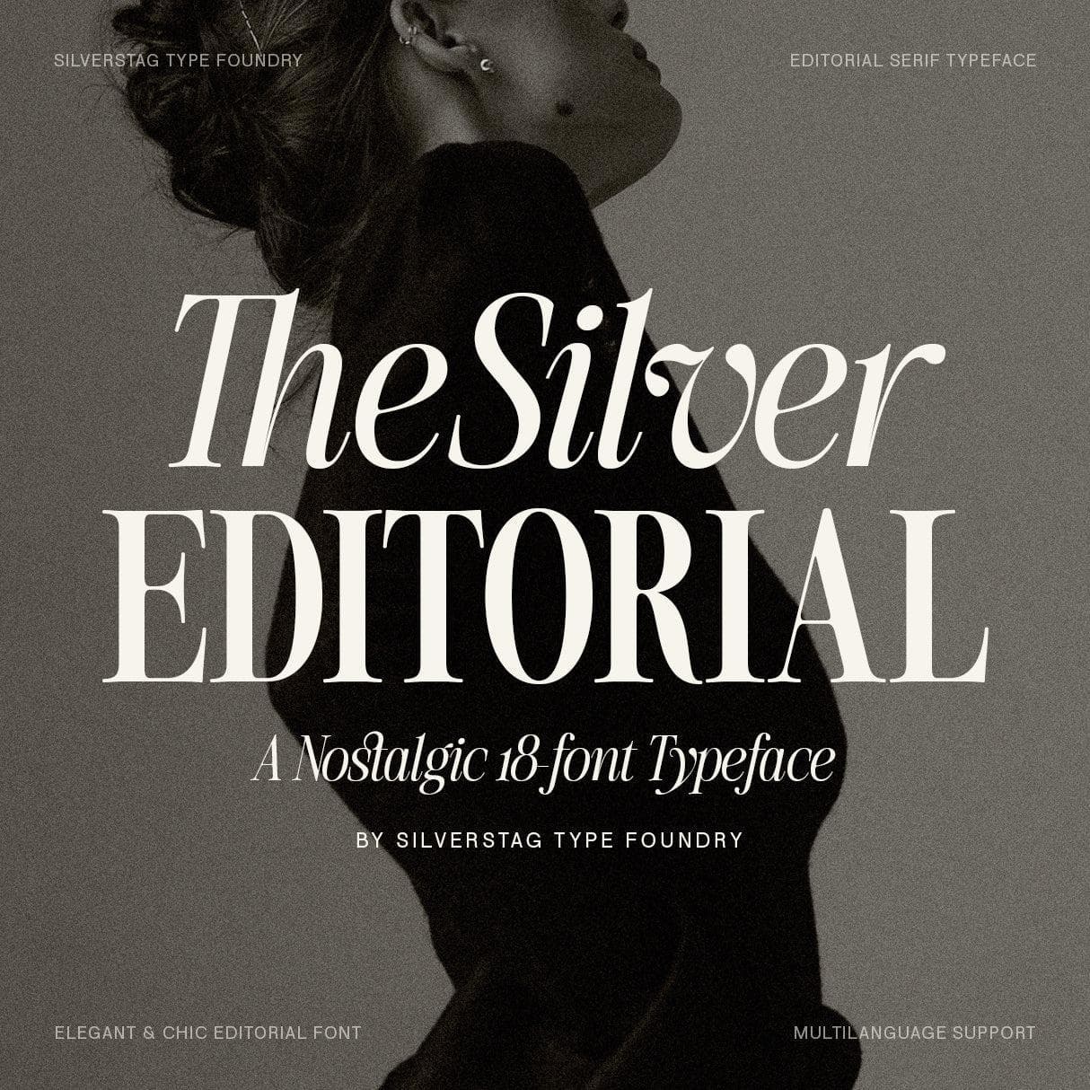 SLTF The Silver Editorial – A Nostalgic 18-Font Serif Typeface cover