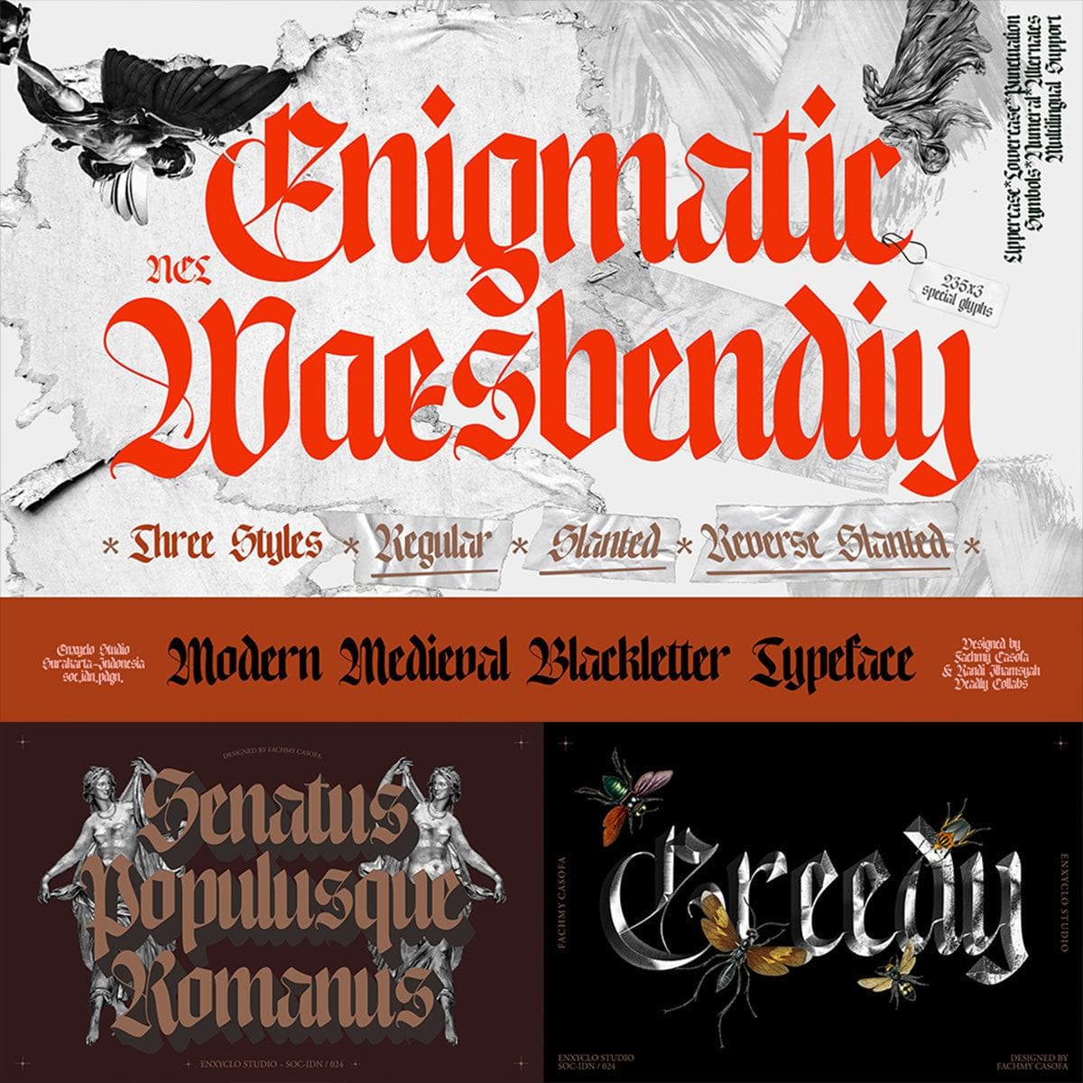 ENIGMATIC WAESBENDIY - Blackletter Font Family cover