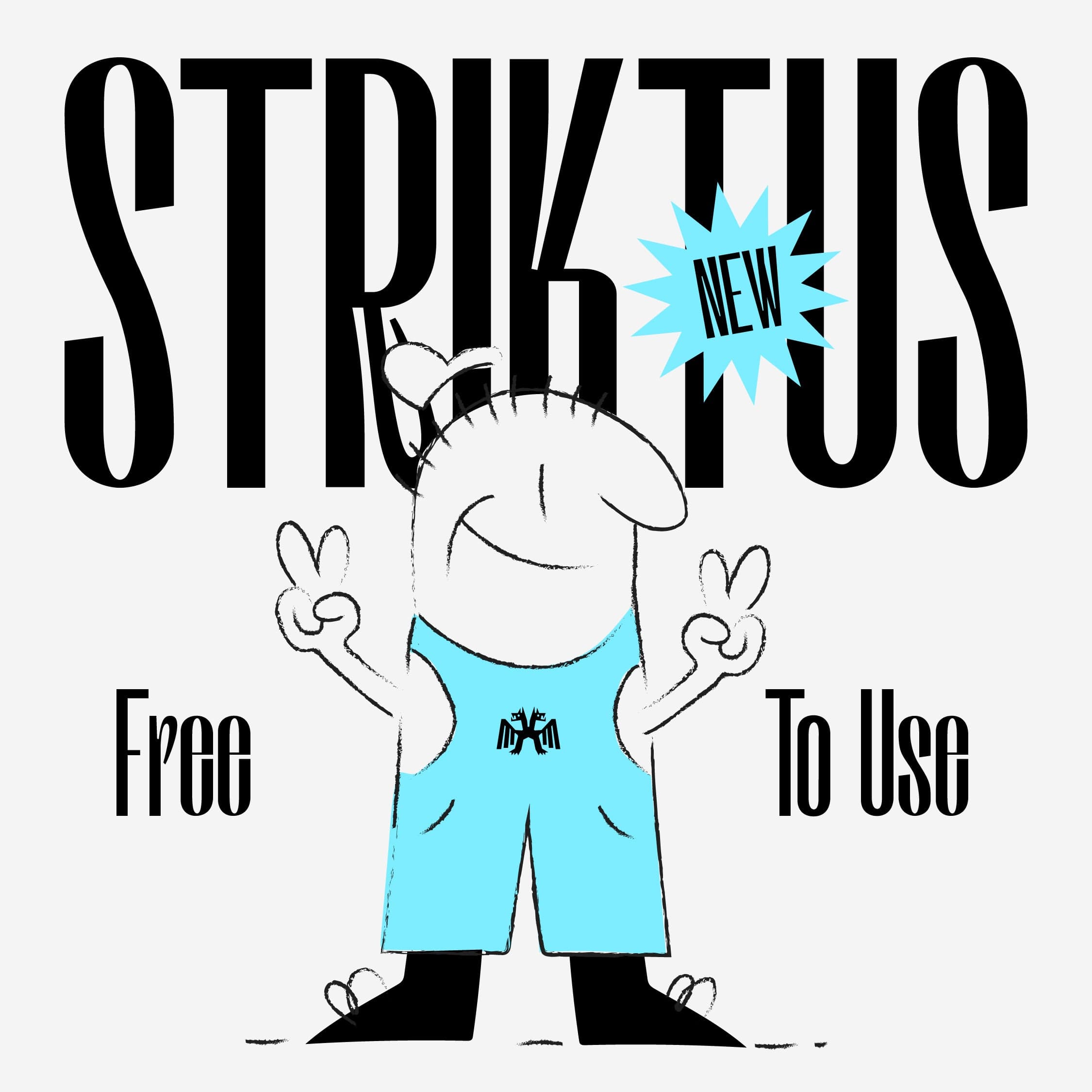 Neue Striktus Display Type cover