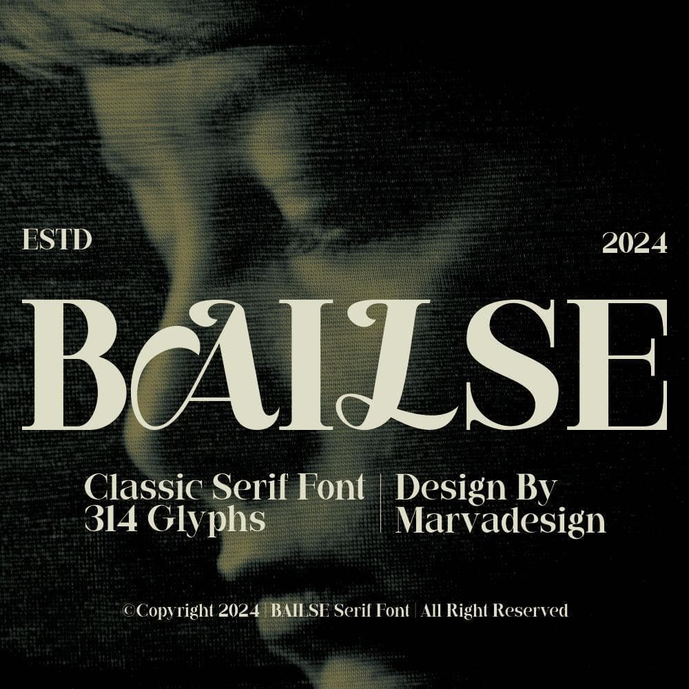 Bailse cover
